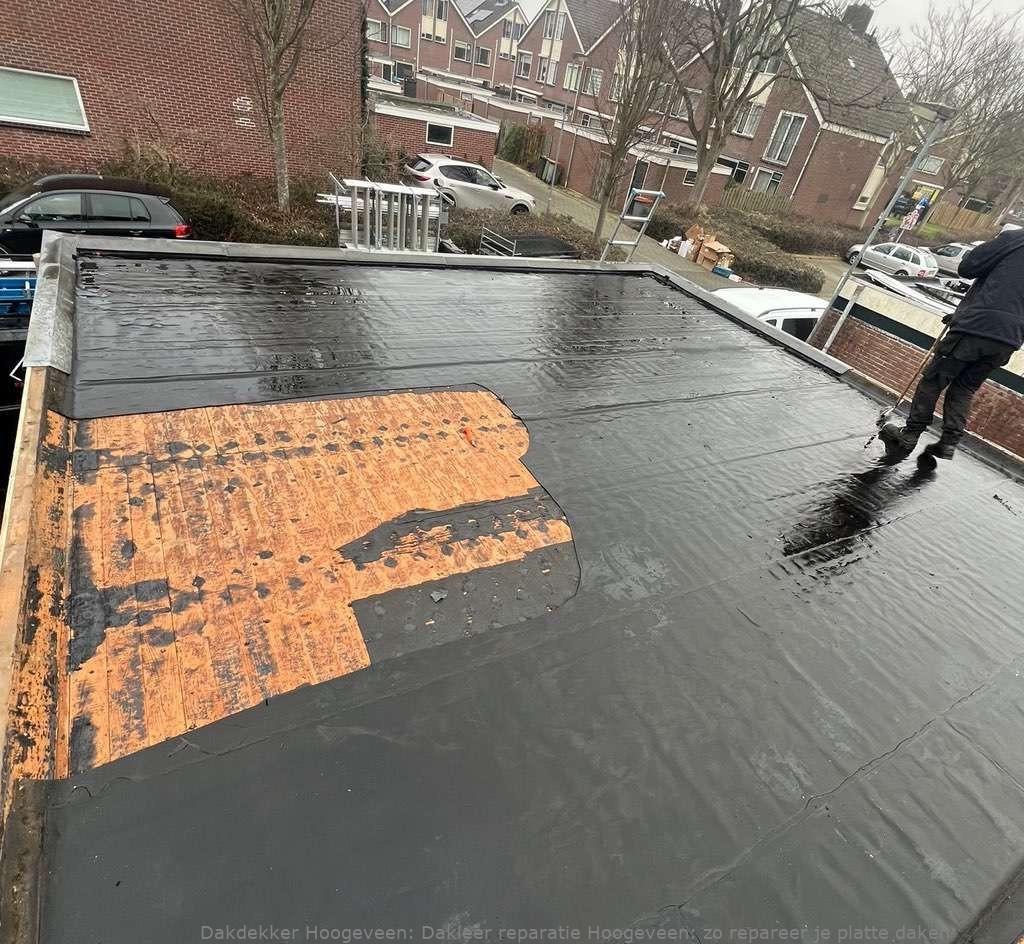 Dakleer Reparatie Hoogeveen
