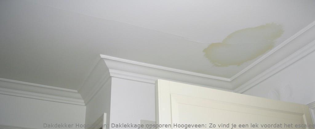 Daklekkage Opsporen Hoogeveen 1