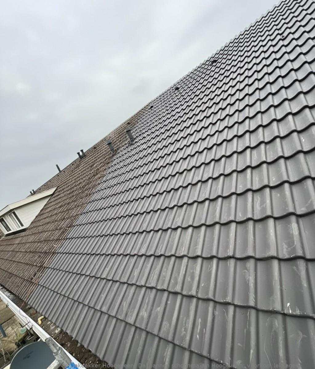 Dakpannen Schoonmaken Hoogeveen
