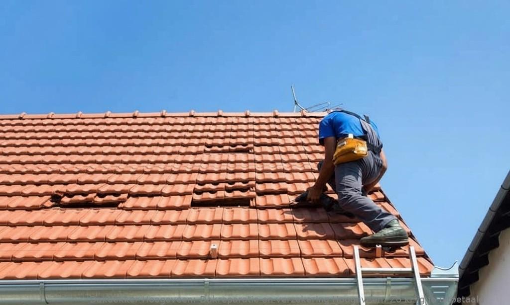 Dakreparatie En Verzekering Hoogeveen