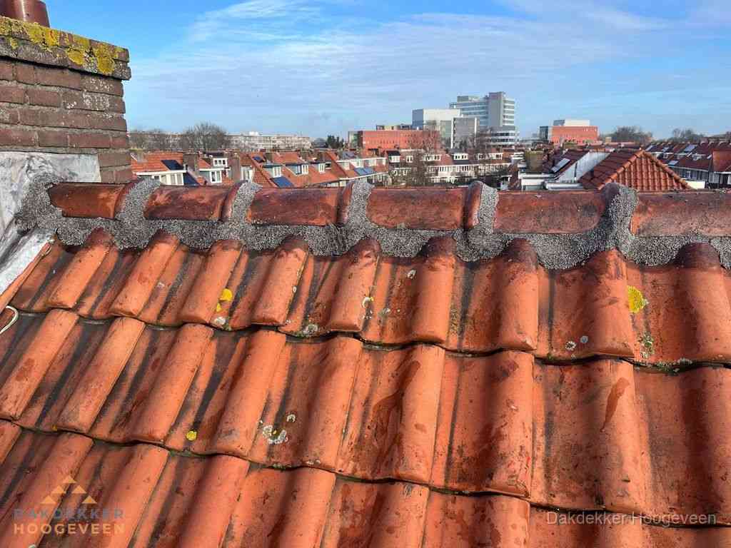 Hoogeveen Daken Renoveren