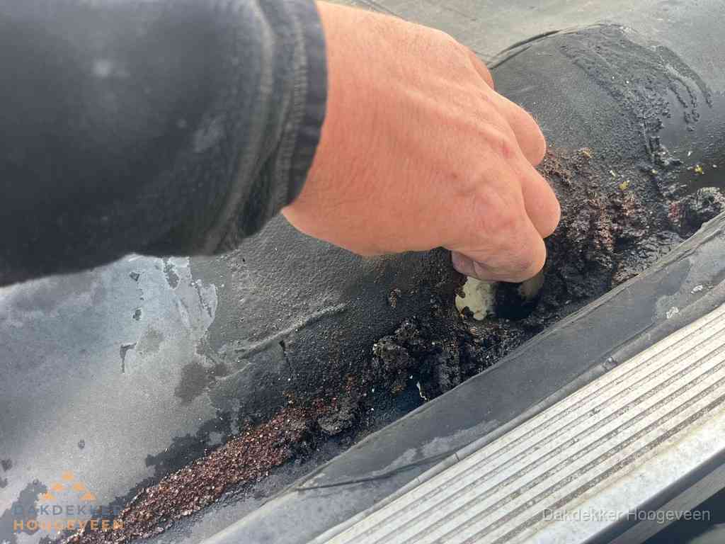 Plat Dak Reparatie Hoogeveen