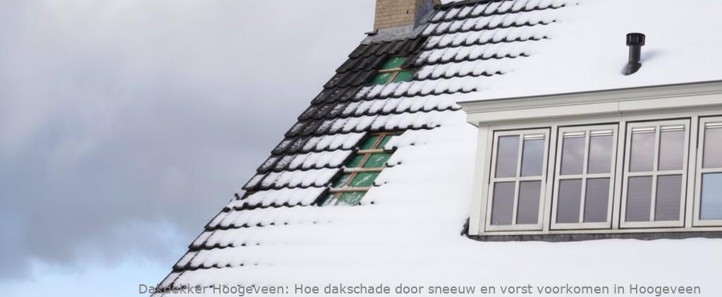 Schade Door Sneeuw En Vorst Hoogeveen