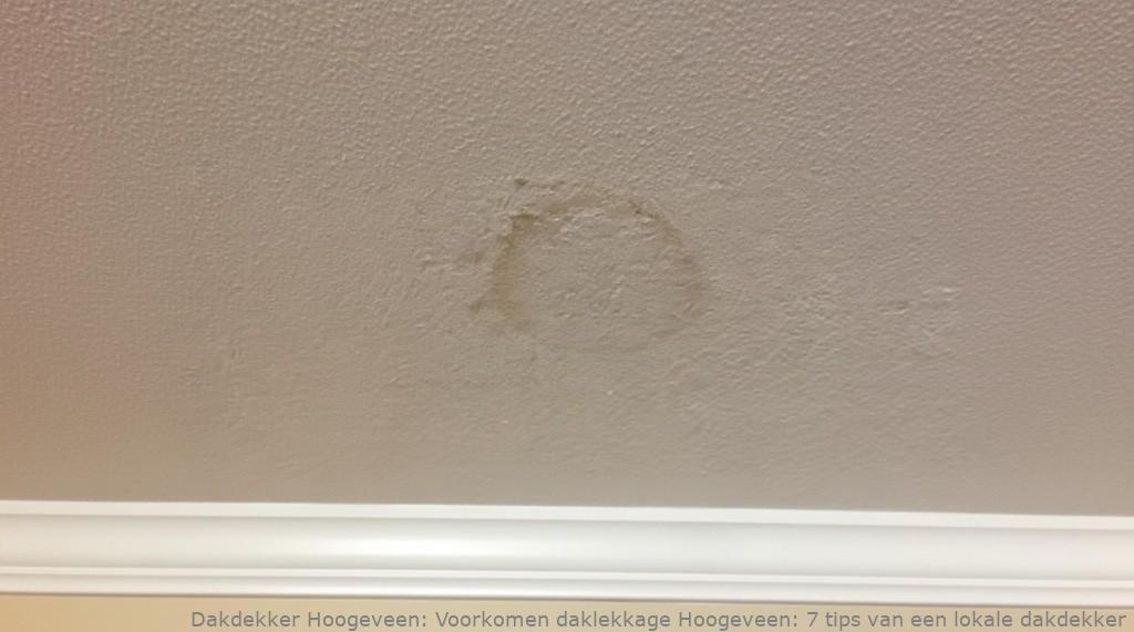 Voorkomen Daklekkage Hoogeveen