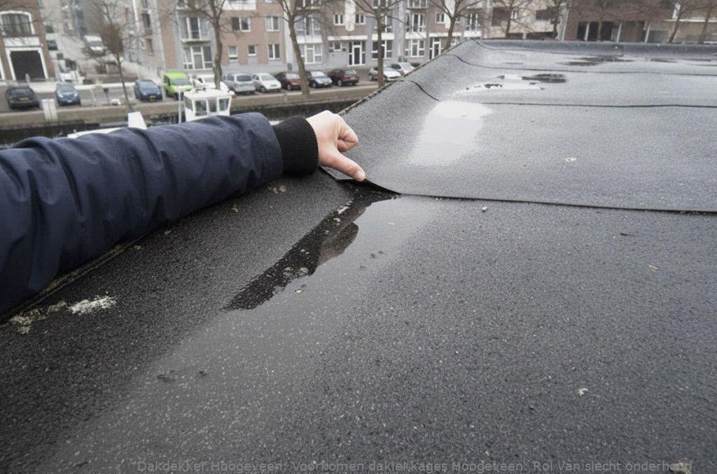 Voorkomen Daklekkages Hoogeveen