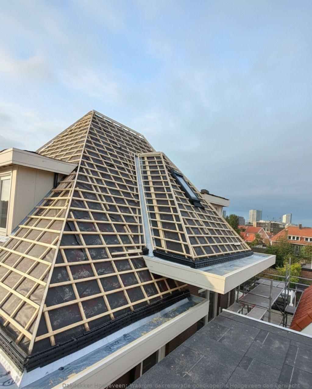 Waarom Dakrenovatie Goedkoper Is Hoogeveen